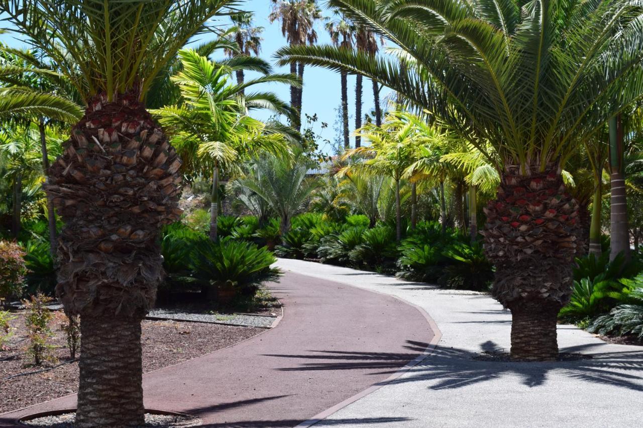 Primavera Tenerife Costa Del Silencio Esterno foto